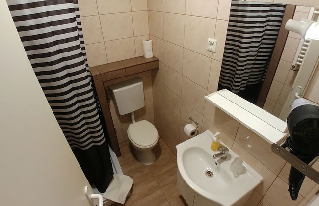 Rooms Villa Antunovac - Photo 11