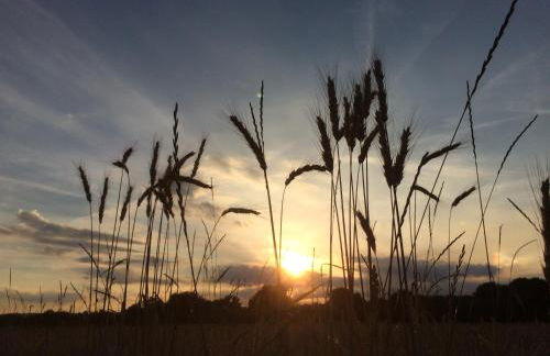 Alte Heimat - Foto 41