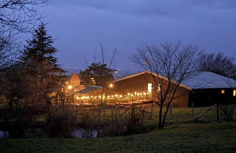 Pooh Corner - Photo 26