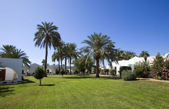 Sol Barbacan - Foto 72