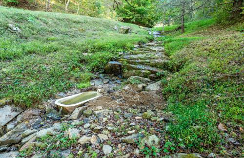 Villa at Stony Woods Estate near Asheville - Foto 31
