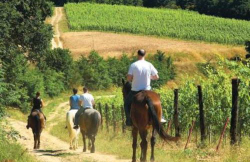 TOWER in Casciano di Murlo - Foto 41