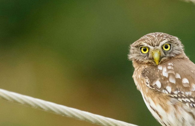 Excursão à reserva Manglares Churute - Foto 1