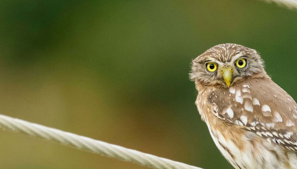 Excursão à reserva Manglares Churute