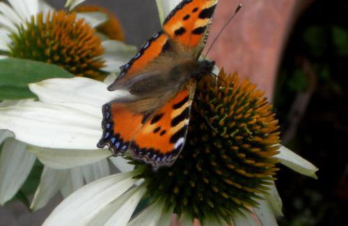 Lieblingsnest Detmold - Foto 58