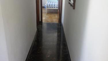 I Limoni di Matteo - Foto 4