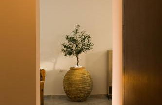 Casa Terra Mani - Photo 50