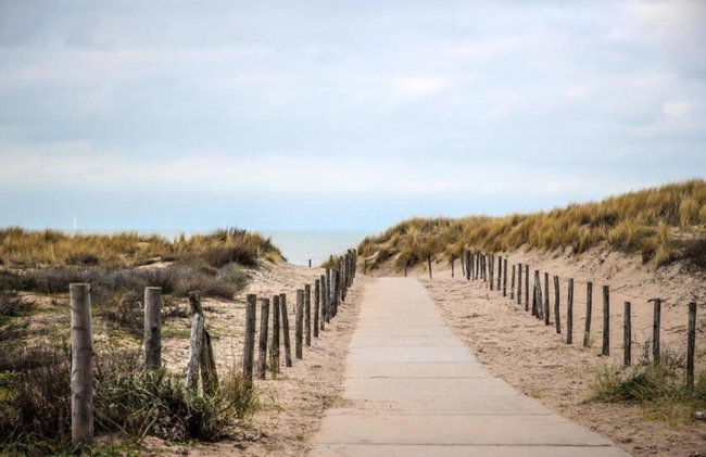 Holiday Home in Noordwijk Near Beach - Photo 32