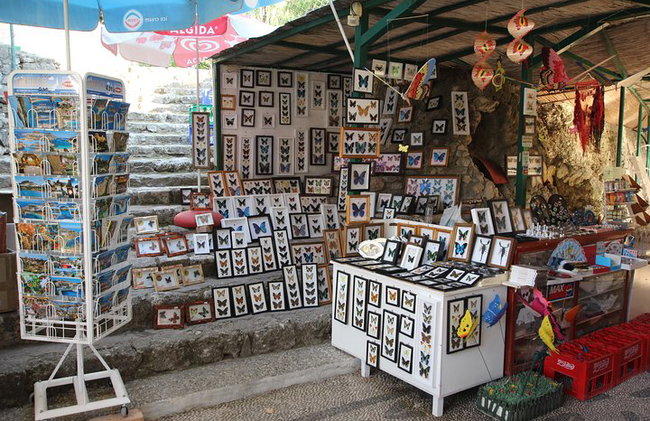 Vallée des papillons et vin, huile d'olive, visite de dégustation de miel (petit groupe) - Photo 6