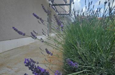 Villa Loni Trogir Marina with great pool and jacuzzi - 3 e-bike free - Foto 14