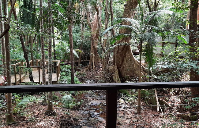 Treetops Accommodation Montville - Photo 35