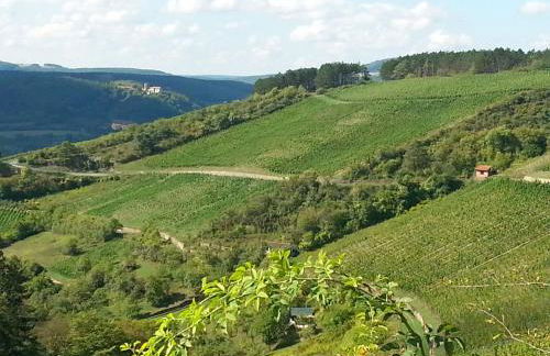 Wengertshaus - Foto 27