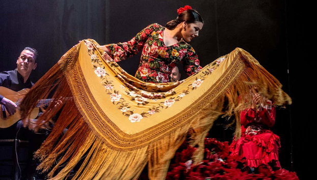 Espectáculo en el Teatro Flamenco - Foto 2, Asistiréis a un espectáculo de flamenco único