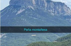 La bergerie Leffler - Foto 35