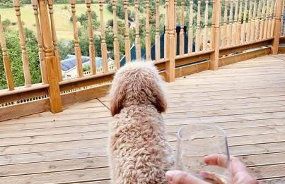 2 - Romantic cabin escape, with outdoor copper bathtub! - Foto 10