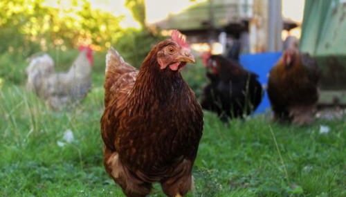 Hof von Felde - Foto 5