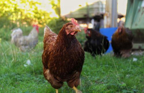 Hof von Felde - Foto 5