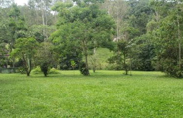 Cantinho de Mauá - Photo 37