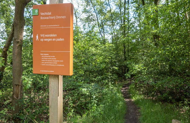 Chalet in Stegeren Near Heathlands - Photo 30