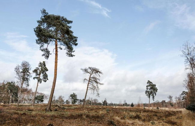 Villa in Someren Near Golf Course - Photo 36