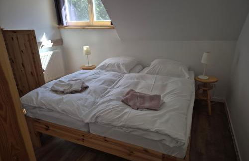 Ferienwohnungen am Obersee - Foto 40