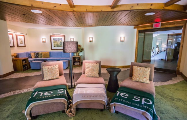 1325 Studio @ The Lodge at Spruce Peak - Photo 17