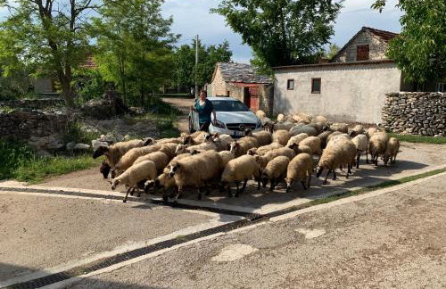 Ferienhaus Jadranka - Foto 25