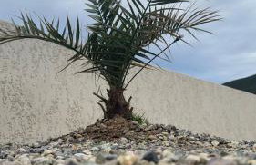 Maison T3 Élégante Cap Corse - Casa Sublima - Foto 14