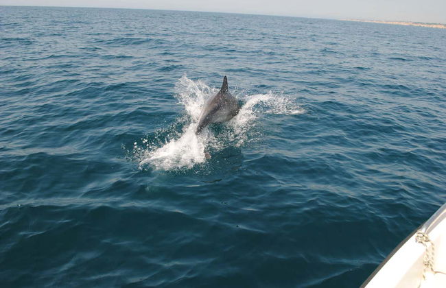 Algarve Caves Cruise - Photo 5