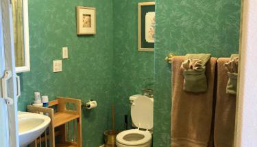 Aloha Alaska Vacation Rentals - Foto 3, Shower