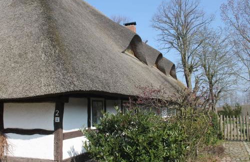 Ferienwohnung in Reddelich for 4 Personen - Foto 75