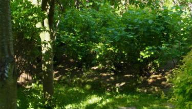 Gästehaus VillaVerde - Foto 2, Garden