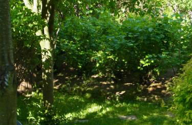 Gästehaus VillaVerde - Foto 2