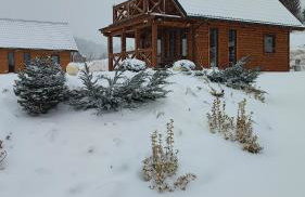 DOMKI KOLOROWE - Foto 58