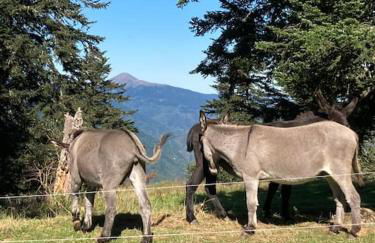 Studio pieds des pistes - Cosy & Confort - Foto 33