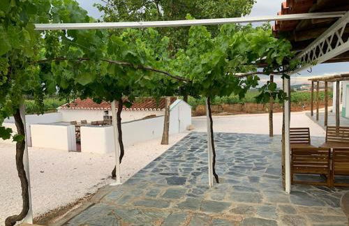 Fonte Freixo, em Borba, Alentejo - Foto 6