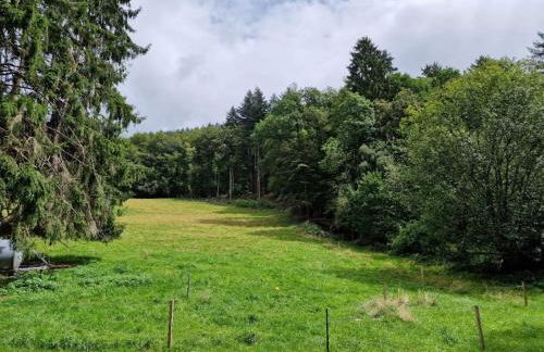 Bellavista - Foto 11