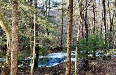 NEW cozy getaway near Mt Monadnock with hot tub - Foto 50