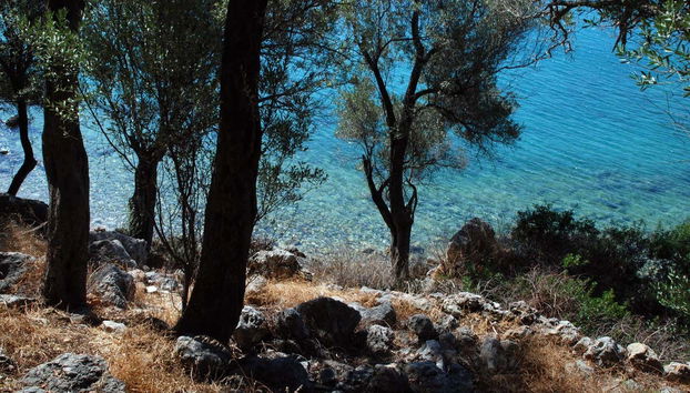 Nature sur l'île Sedir