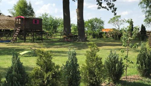 HeideZeit 3 - Foto 5