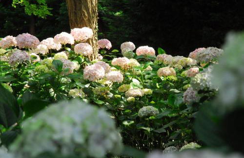 Apartamentos Mar y Mar Agroturismo - Foto 37