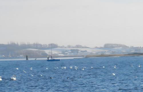 Taun Hövt - Foto 17