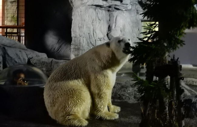 Stay in Biei - Foto 57