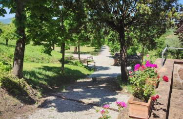 CasalPiano - Photo 6