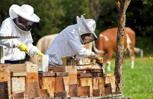 Modern Apartment in Brixen im Thale Tyrol With Terrace - Foto 23