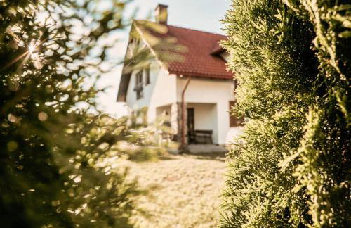 Willa Jagodne Kozin - Foto 4