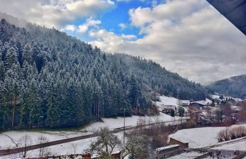 Ferienwohnungen Vogt's Libding - Photo 47