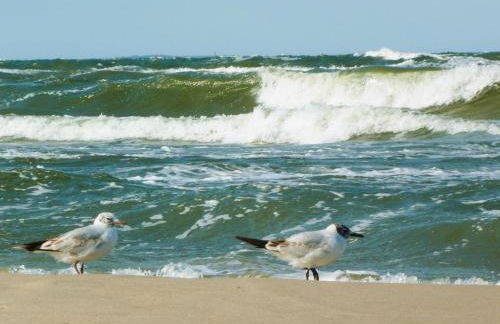 Ferienwohnung Salzhorstweg - Foto 10