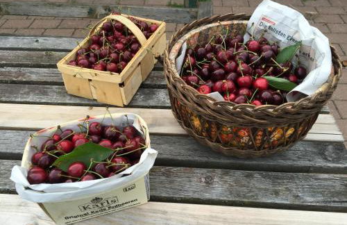 baerenhoele - Foto 9