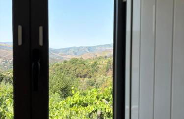 Quinta do Passal - Foto 26